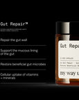 My Way Up Gut Repair™