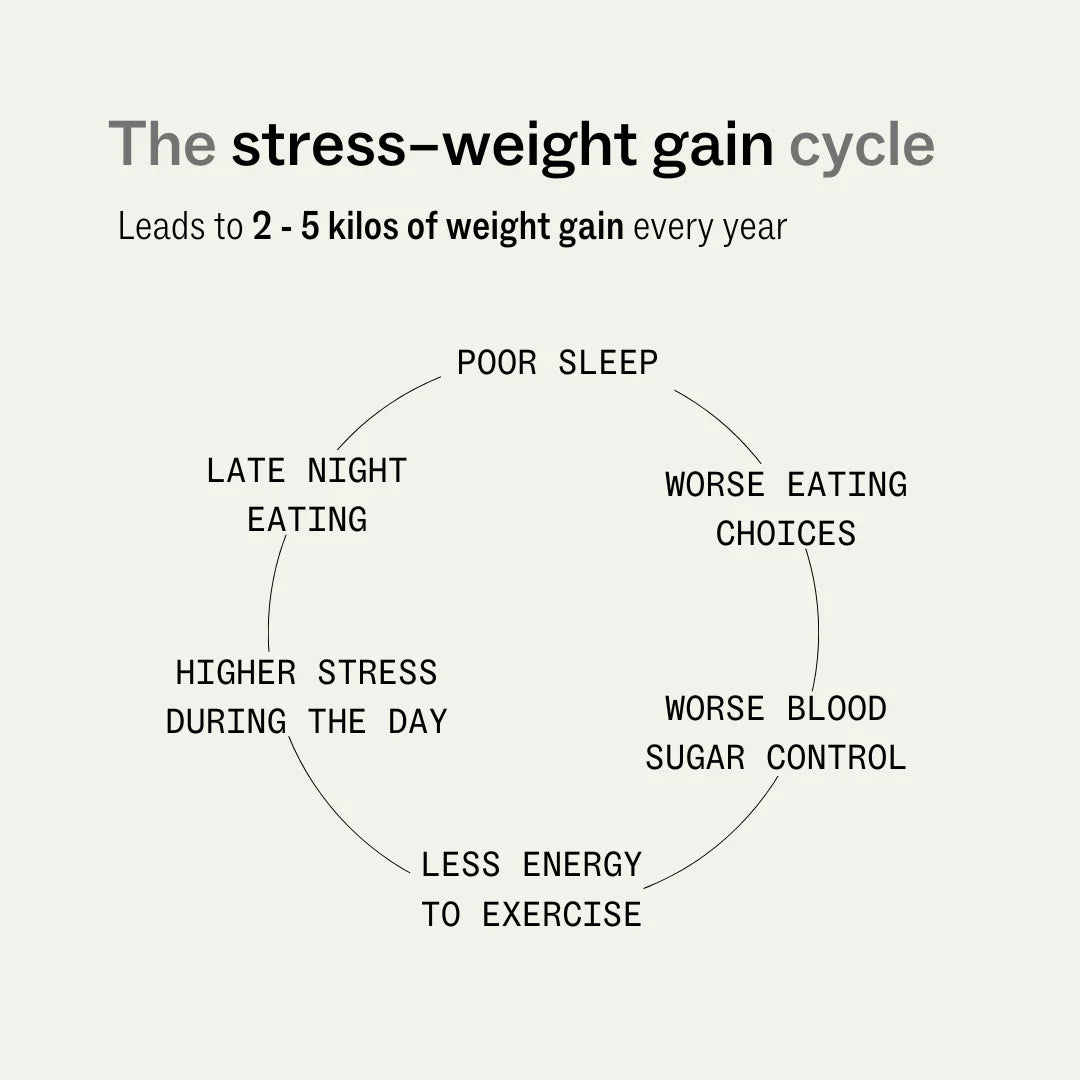 My Way Up Sleep + Stress™ (Gut - Brain)